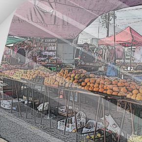 Voces y vida en el tianguis de Ciudad Granja